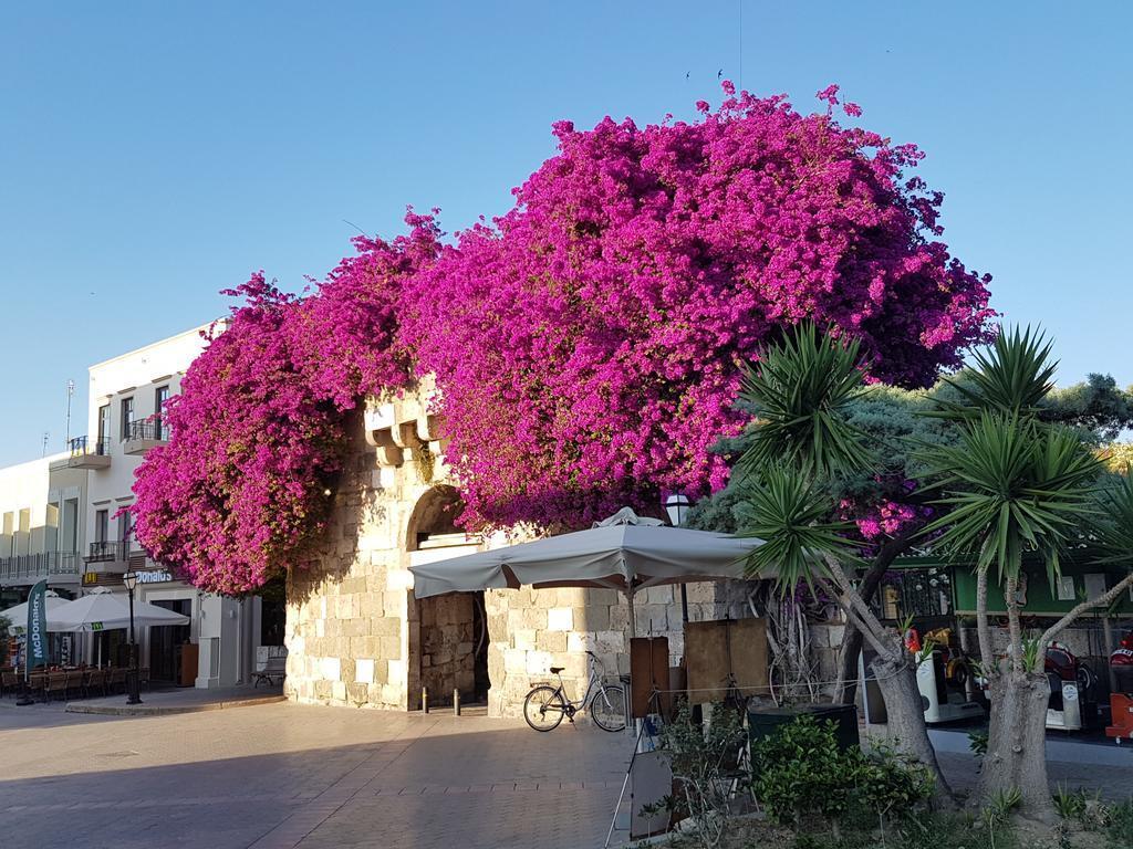 Popi Studios Kos-Stadt Exterior foto